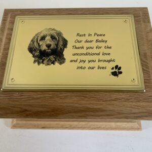 Wooden Pet Urn and Casket